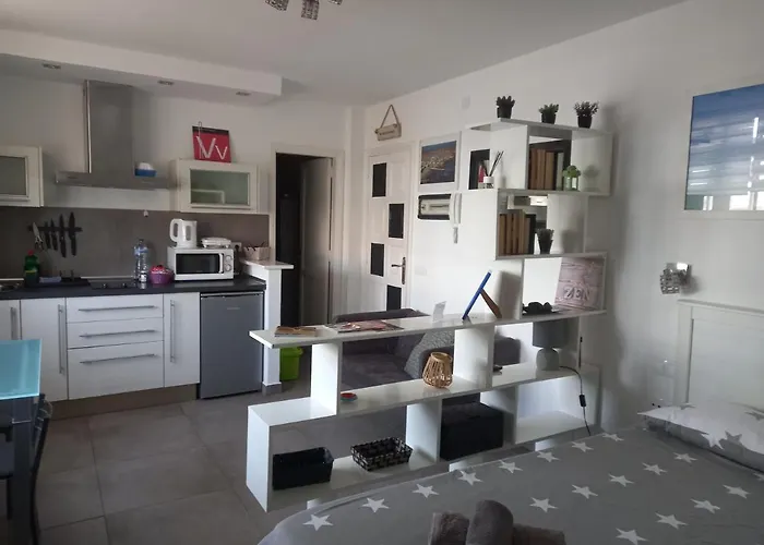 Estudio Coriandolo Wifi Fibra *